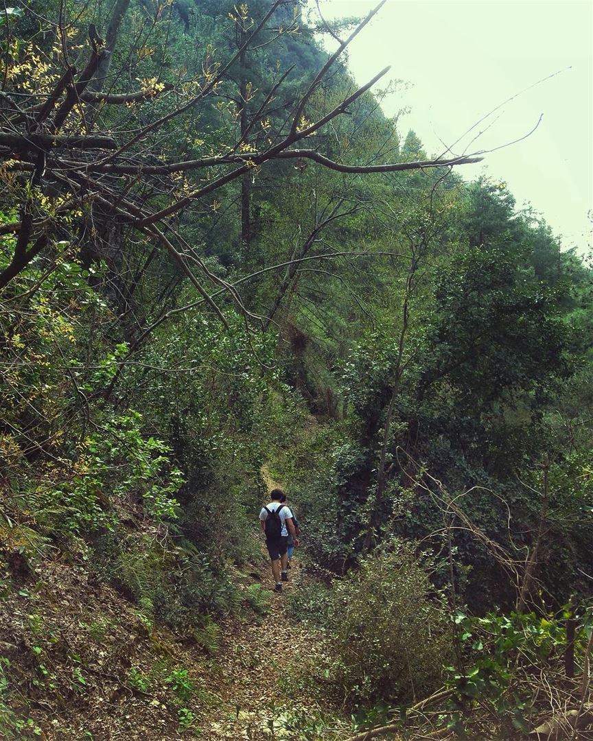 ~Remember why you started~ @peak2peaklb hike  hiking  friends  family ... (Chouène, Mont-Liban, Lebanon)