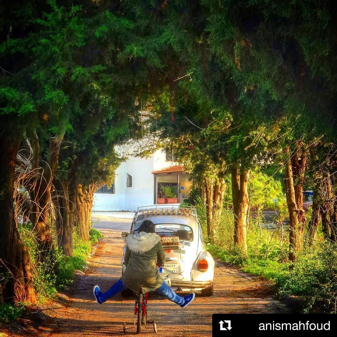  Repost @anismahfoud・・・“The future belongs to those who believe in the...