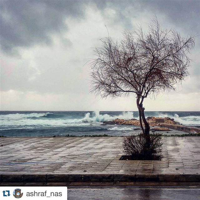  Repost @ashraf_nas with @repostapp.・・・ livelovetyre  livelovebeirut ...
