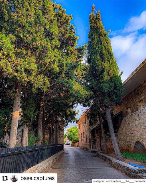  Repost @base.captures• • • • • •Byblos - Jbeil ♥️🌲♥️ Few things in the... (Byblos - Jbeil)