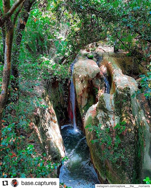  Repost @base.captures• • • • • •بركة العروس... lebanon  liban ... (Aïn Qanîyé, Mont-Liban, Lebanon)