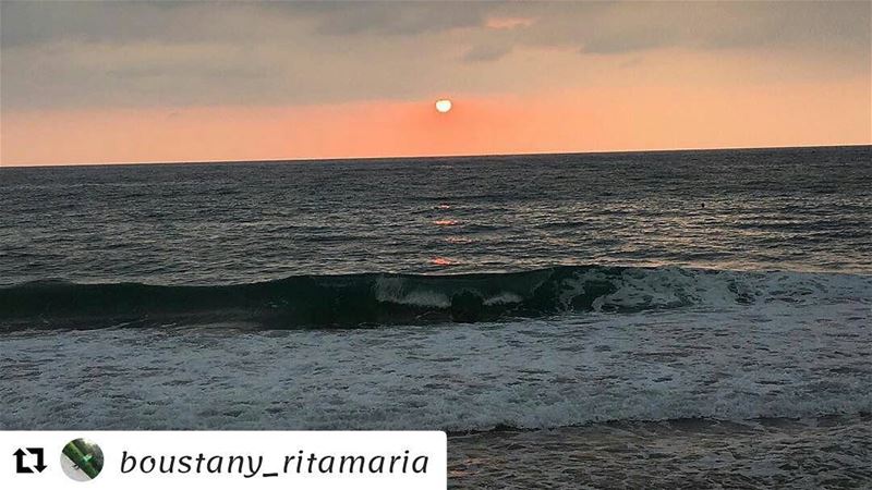  Repost @boustany_ritamaria (@get_repost)・・・Beauty is all around you....