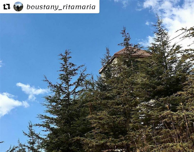  Repost @boustany_ritamaria (@get_repost)・・・Lets get lost in a beautiful...