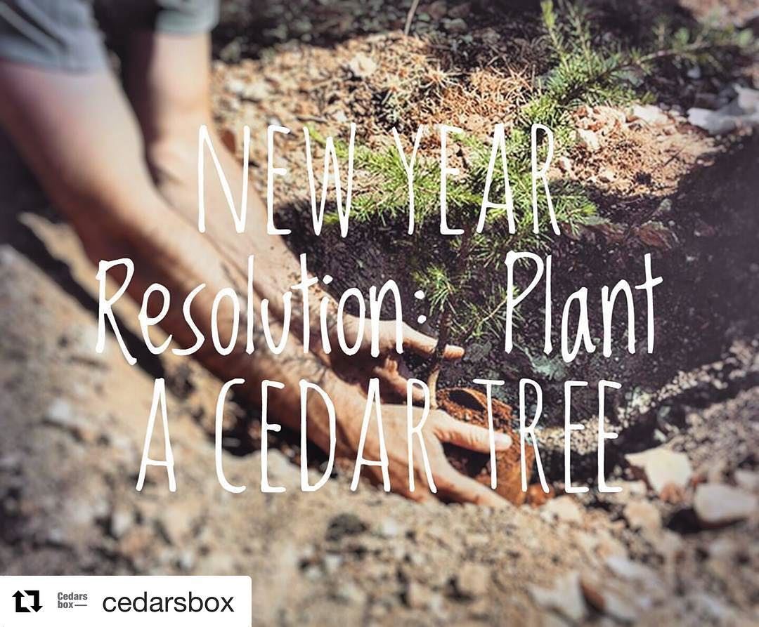  Repost @cedarsbox with @repostapp・・・Who's with me? 🙋😍🌲  cedarsbox ...