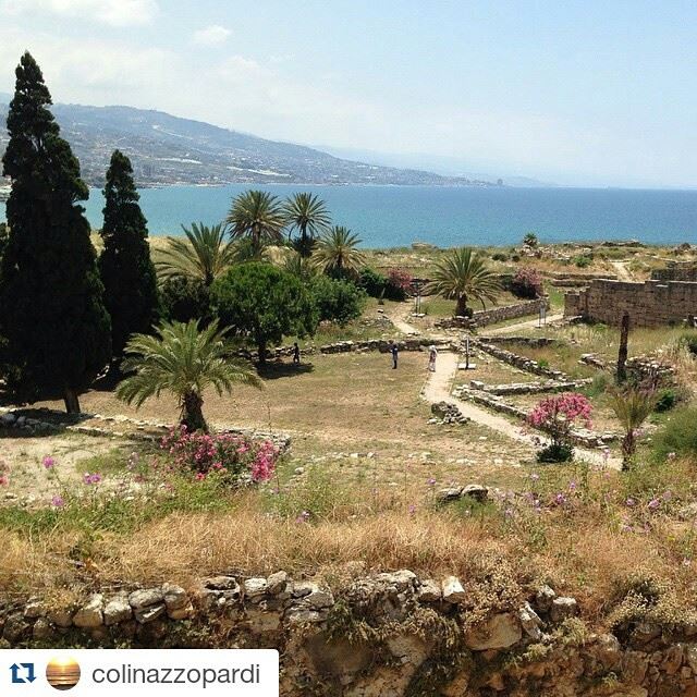 Repost @colinazzopardi (Jbeil)