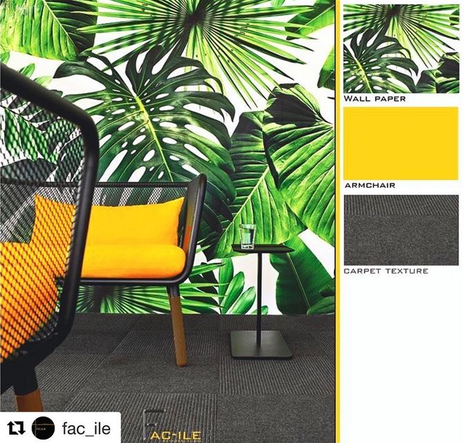  Repost @fac_ile with @get_repost・・・Fac_ile. jungle ..... fac_ile ...