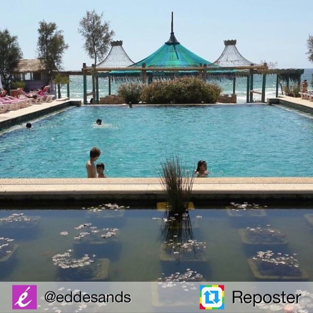 Repost from @eddesands by Reposter @307apps