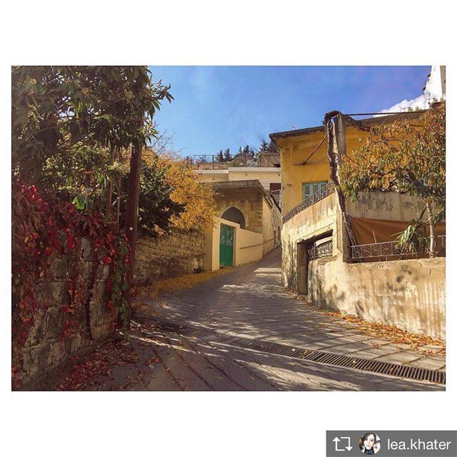 Repost from @lea.khater 🍂  walkthroughsaghbine  whatsaplebanon  lebanon ... (Saghbîne, Béqaa, Lebanon)