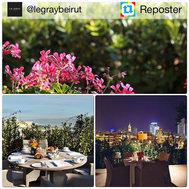 Repost from @legraybeirut by Reposter @307apps