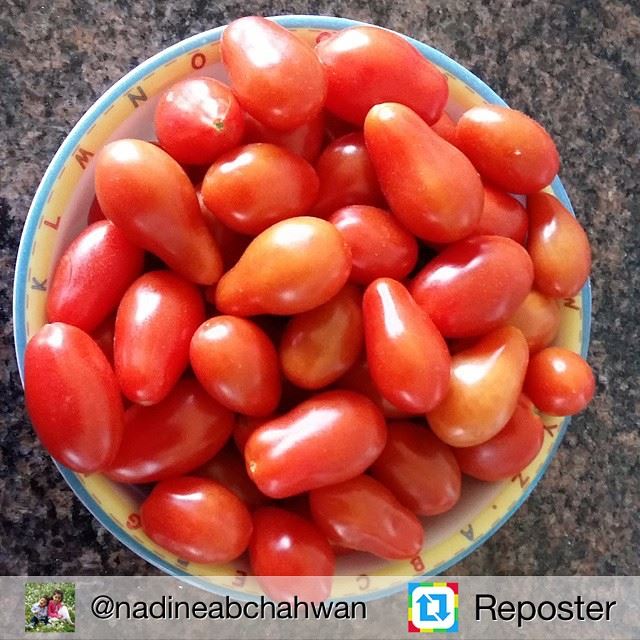 Repost from @nadineabchahwan by Reposter @307apps (Fresh Fruits)