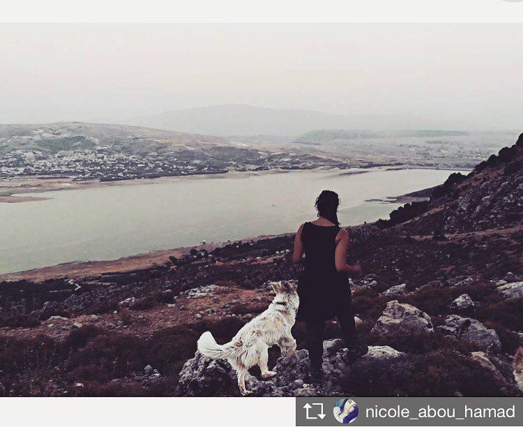 Repost from @nicole_abou_hamad 'Leave only footprints 🐾  lyra 💙 ... (Saghbîne, Béqaa, Lebanon)