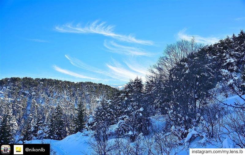 Repost from @nikonlb using @RepostRegramApp - Featured post: Horsh  Ehden...