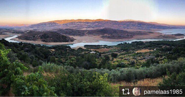 Repost from @pamelaas1985 A morning like this ☀️ saghbine... (Saghbîne, Béqaa, Lebanon)