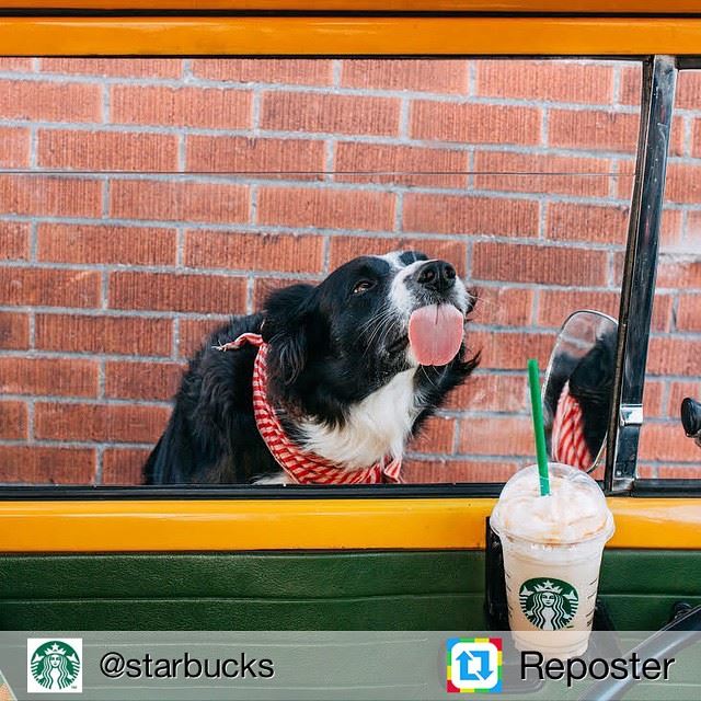 Repost from @starbucks by Reposter @307apps