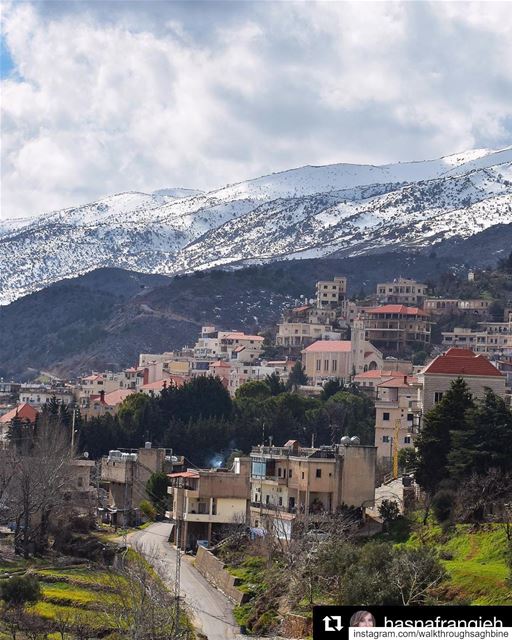  Repost @hasnafrangieh Each & every village has its own story of... (Saghbîne, Béqaa, Lebanon)