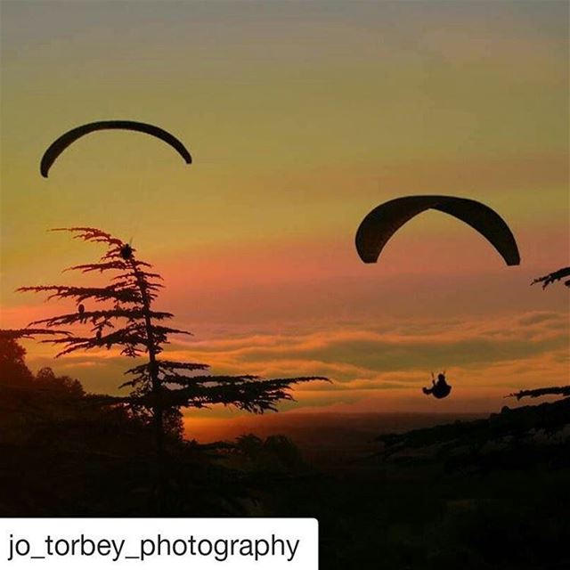  Repost @jo_torbey_photography with @repostapp・・・ liveloveehden ...