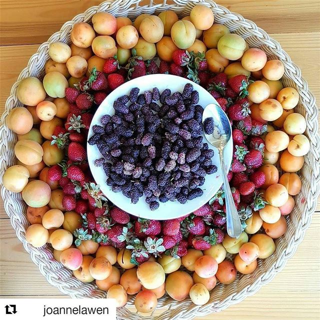  Repost @joannelawen ・・・ EatSeasonal explained 🍊🍓🍇  Lebanon Tawlet ...