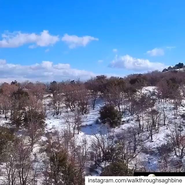  Repost @join.joe Another temporary post sky  likeforlikes  beirut ... (Saghbîne, Béqaa, Lebanon)