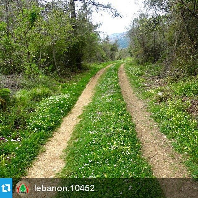 Repost @lebanon.10452