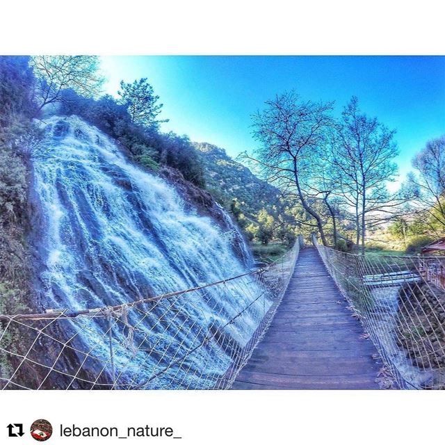  Repost @lebanon_nature_ (@get_repost)・・・ عيون_السمك by @elyzek6...