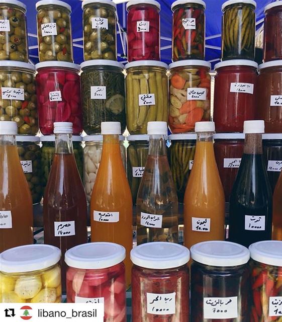  Repost @libano_brasil Das fazendas do Líbano para um famoso mercado de...