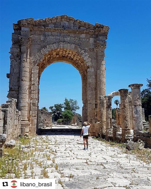  Repost @libano_brasil (@get_repost)・・・Admirando as ruínas de Tiro,... (Tyre, Lebanon)