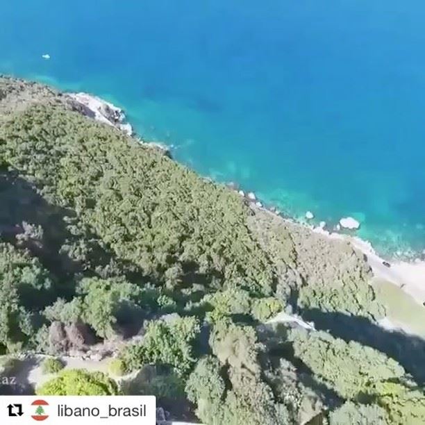  Repost @libano_brasil (@get_repost)・・・Vídeo emocionante feito pelo @peli (Saydet El Nourieh)