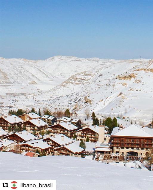  Repost @libano_brasil Você sabia que o Líbano também é conhecido como a ‘S (Mzaar Kfardebian)