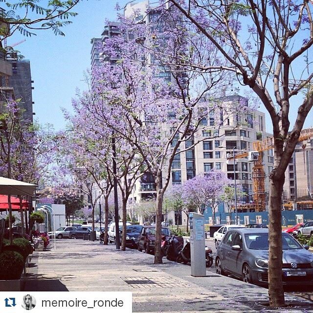 Repost @memoire_ronde