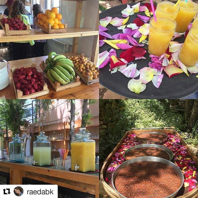  Repost @raedabk with @repostapp・・・Smmer Season🇱🇧💚💛🌾🌾🥂🍻❤️💛💚...