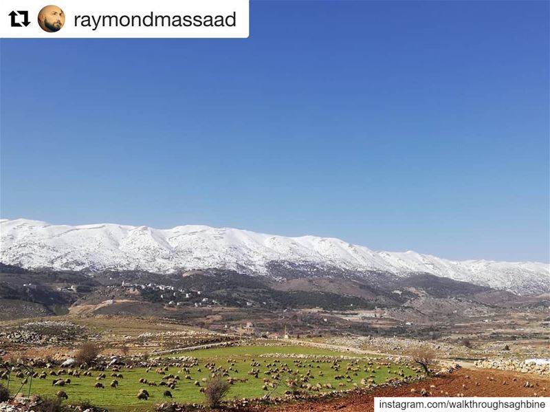  Repost @raymondmassaad ・・・ nofilter  nofilterneeded  landscape  season ... (Saghbîne, Béqaa, Lebanon)