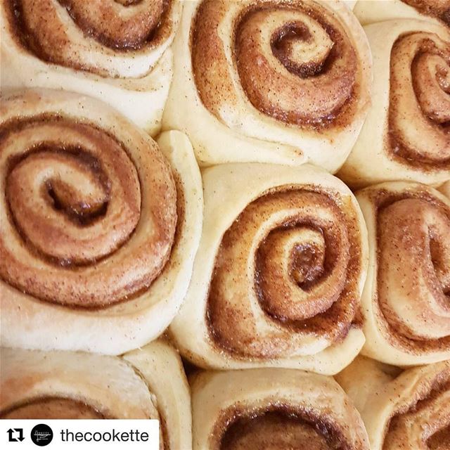  Repost @thecookette (@get_repost)・・・Cinnamon Rolls🌸Ingredients2 1/2...