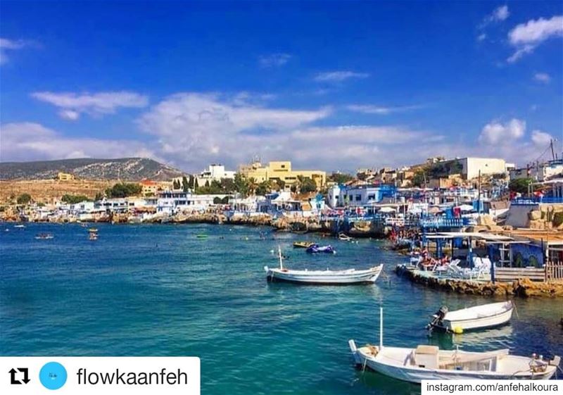  RepostFollow @flowkaanfeh・・・ visitanfehOpening Soon... flowkaanfeh70- (Tahet el-rih تحت الرّيح)