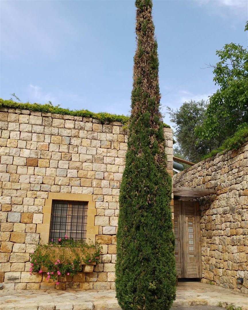 Restored traditional rural home in the Lebanese countryside.  stonecutter ... (Maasser Beit El Dine)