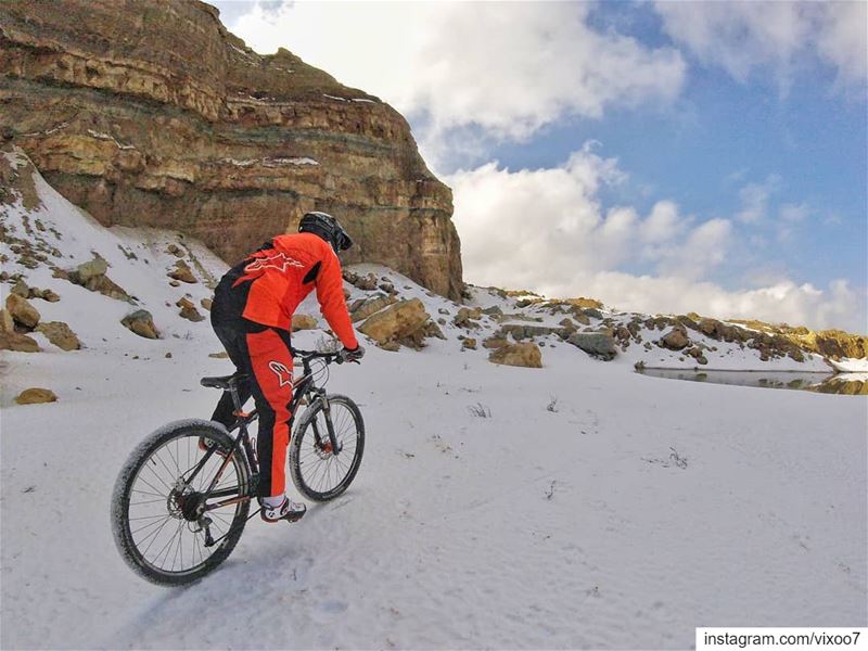 Riding through the winter like❄️🚴‍♂️... snow  snowday  snowland... (Blanche Neige)