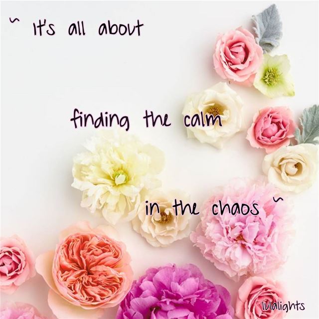 🌹Right now I am trying to be in a place of calm, a place where I can...