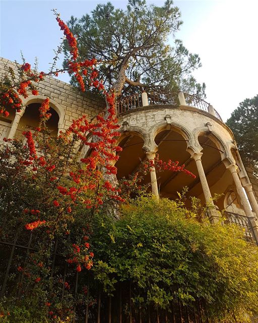 Rise and shine ig_respect  ig_lebanon  insta_lebanon  instaamici ...