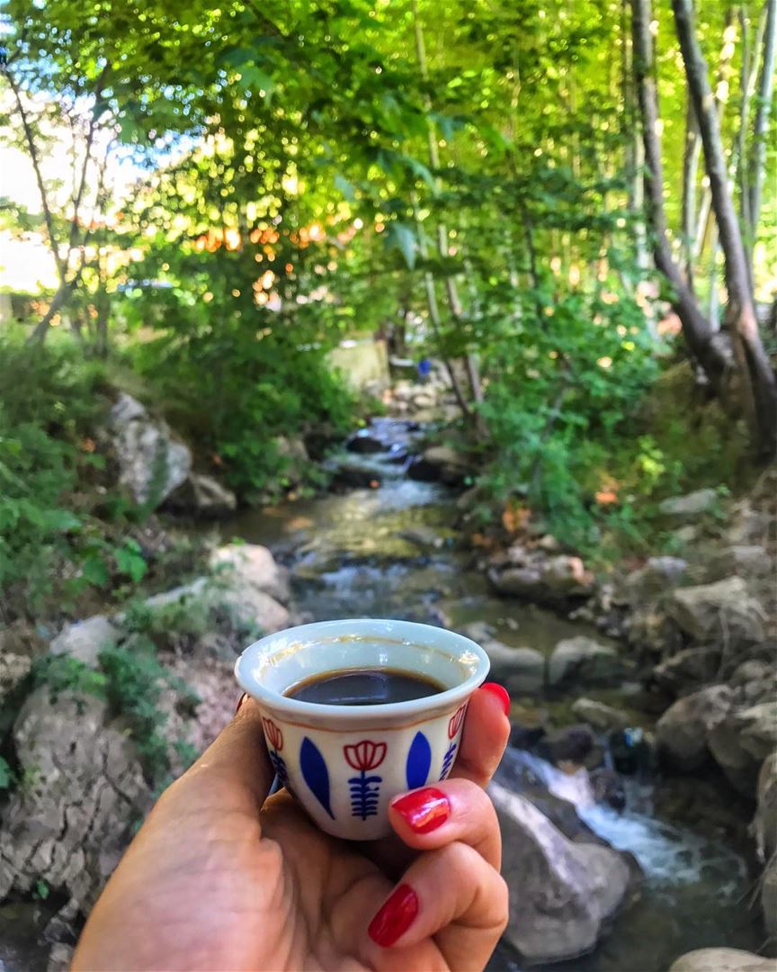 Rise & shine everyone! Coffee is on me ☕️ ... (Bsatin Al-Ossi Waterfalls)