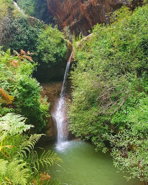 Rise up, start fresh, and have an amazing morning ❤️..... waterfalls... (Lebanon)