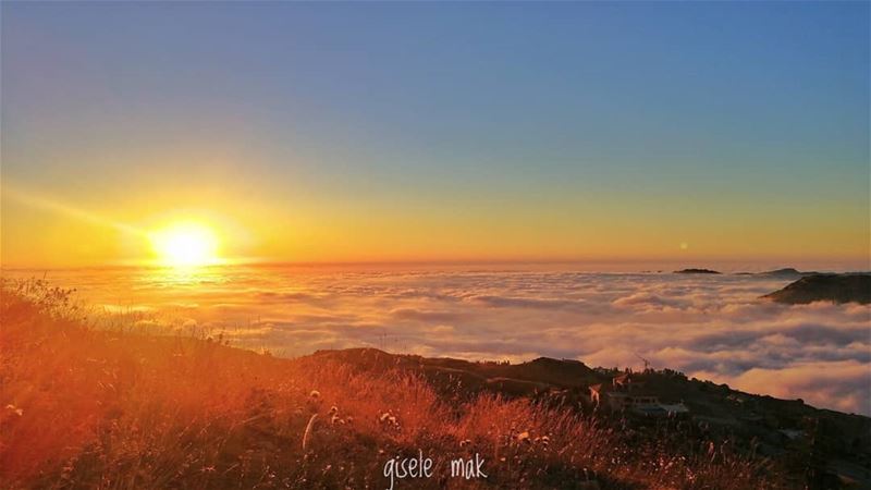 Rising above the clouds. clouds  sunset_pics  outdoorphotography  horizon... (Lebanon)