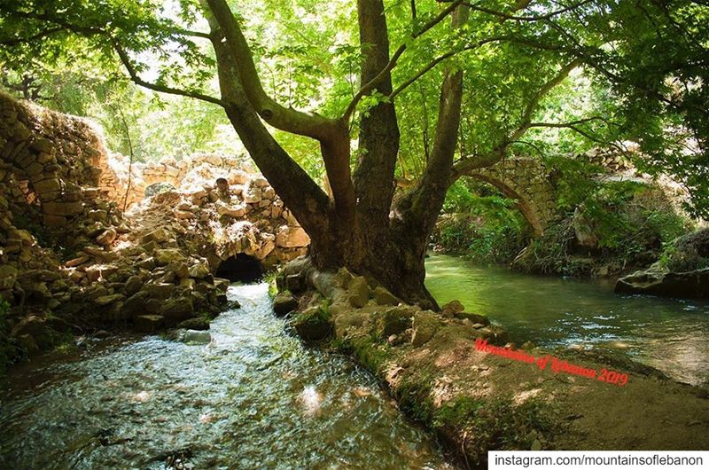 River and bridge on the right, remains of a watermill (basement or water... (Nahr el Jaouz)