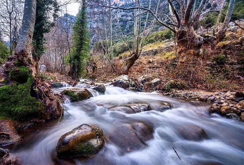  river  flow  cloudy  mountains  snow  tree  winter  lebanon  snapshot ... (Tanourine)