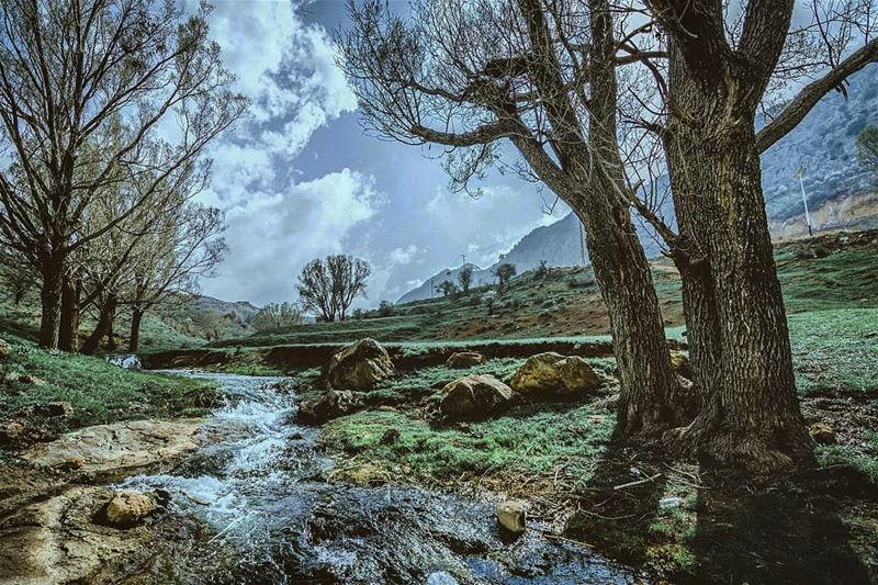  river  flow  cloudy  mountains  snow  tree  winter  lebanon  snapshot ... (Jord Tannoûrîne)