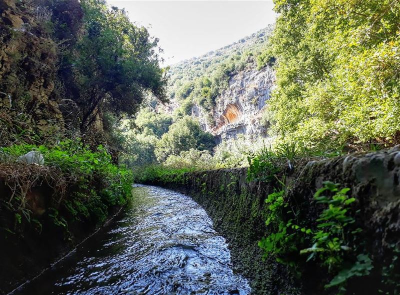  river  lebanon  kalawounphoto  monbeauliban  insta_lebanon ... (Ejdabrine, Liban-Nord, Lebanon)