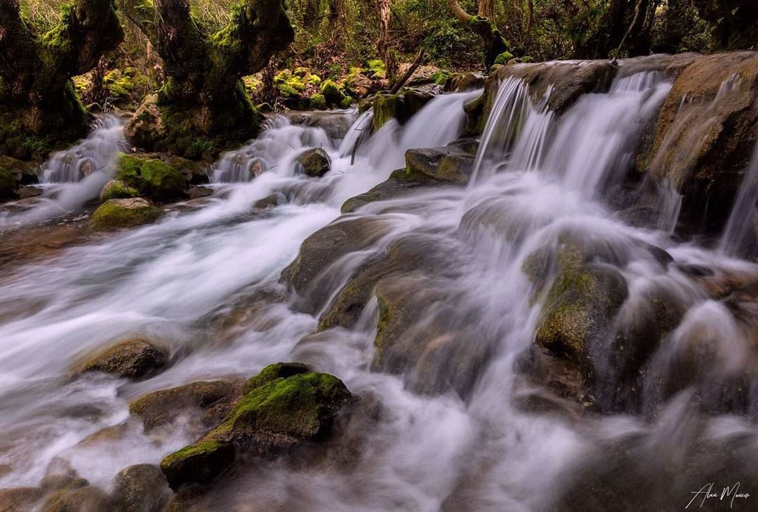  river  lebanon  shouf  fallingwater  runningwater  trees  authentic ...