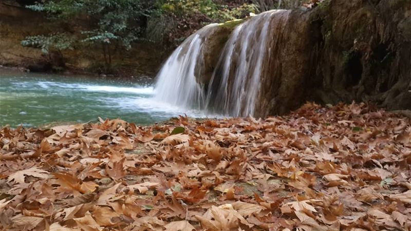 • river  riverwater  waterfall  riverwaterfall  tree  autumn  treeleaves ...