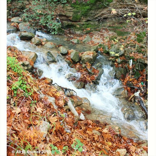  river  winter  nature  lebanese  south_lebanon  southlebanon  lebanon ...