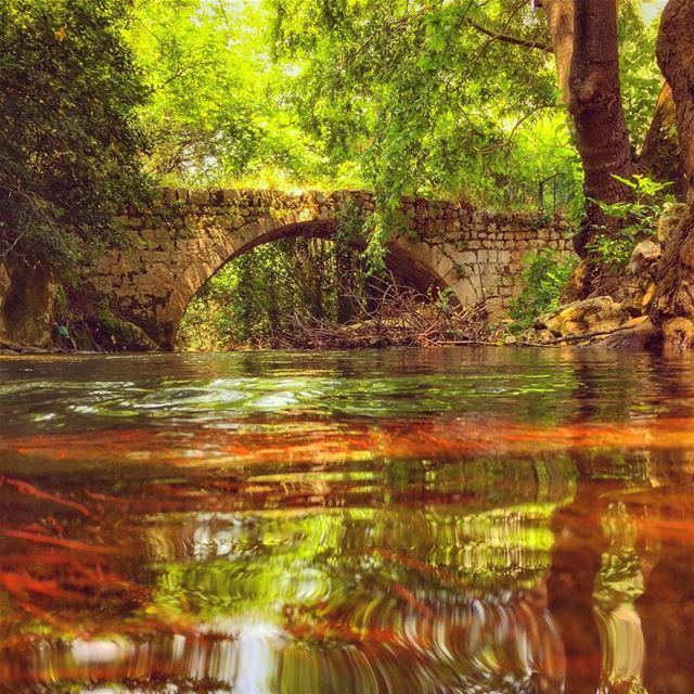 “Rivers don’t drink their own waters; trees don’t eat their own fruits.... (Kaftoûn, Liban-Nord, Lebanon)