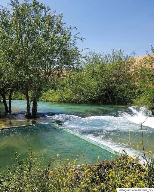 Rivers never go reverse ... So try to live like a river, forget your past... (El Hermel, Béqaa, Lebanon)