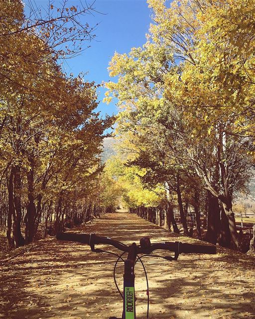 Road 1: “Nothing compares to the Simple Pleasure of riding a Bike” •🚲•... (`Ammiq, Béqaa, Lebanon)